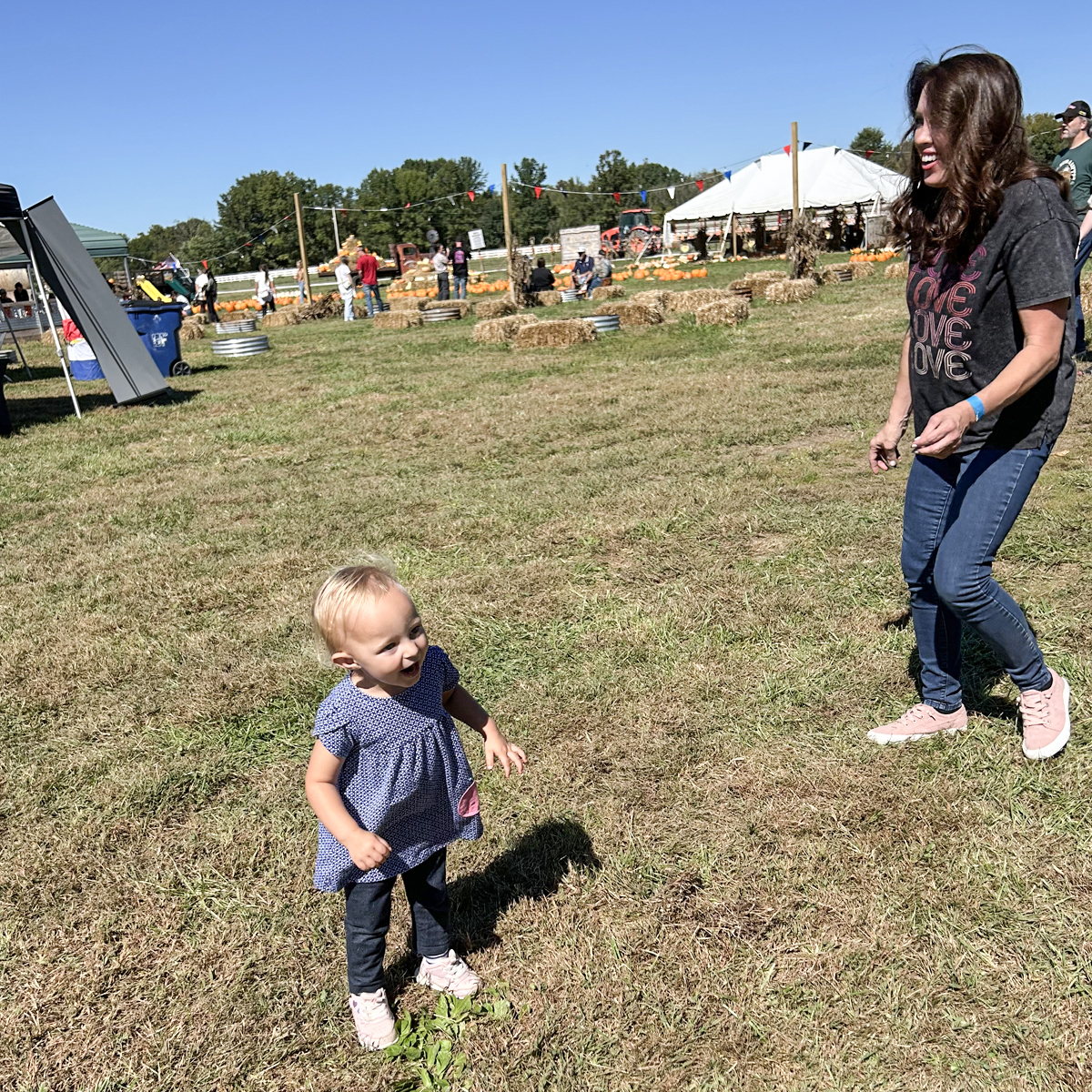 The Backstreet Cruisers at Brookdale Farms 2026