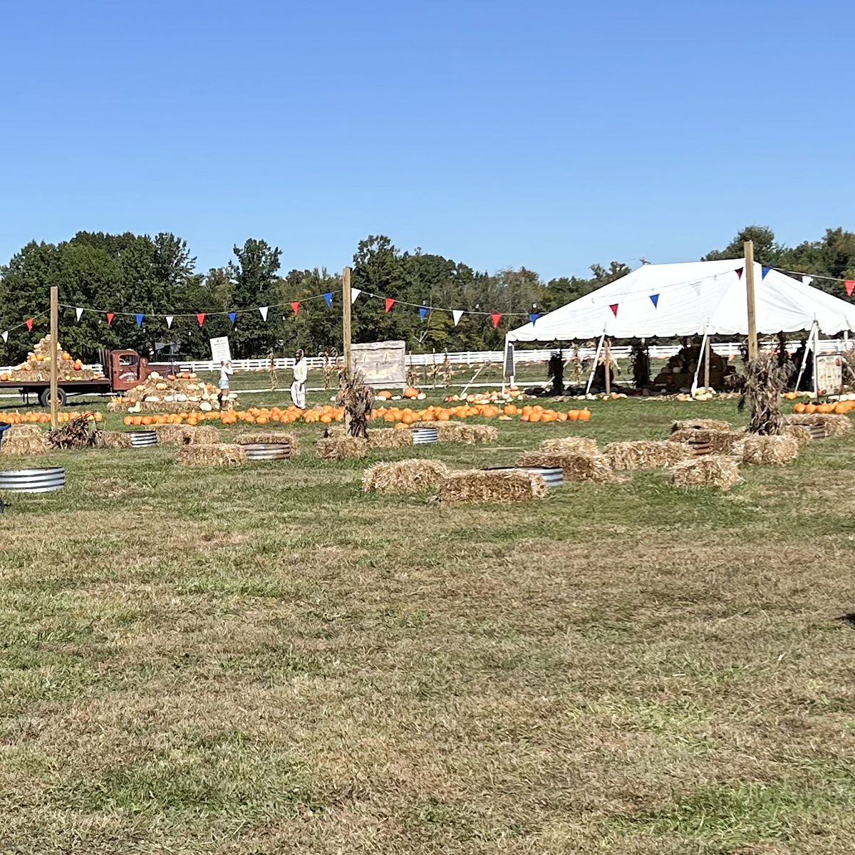 The Backstreet Cruisers at Brookdale Farms 2026